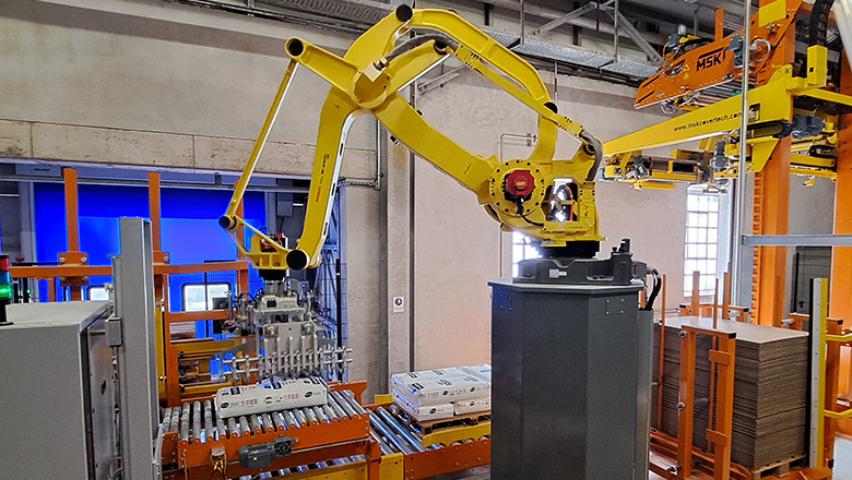 palletizing systems building